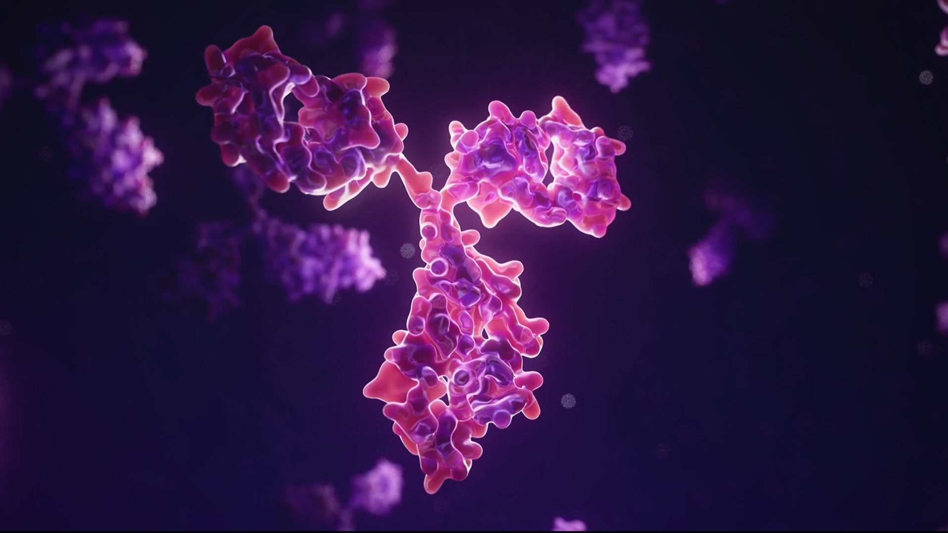 Illuminous purple antibody for Hecklab as 3D animation.jpg